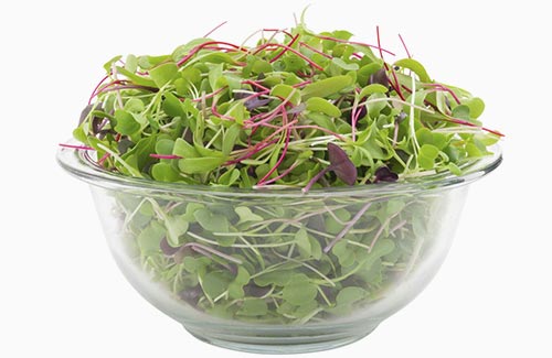 Sweet & Spicy Mix – organic microgreens nutritious healthy produce