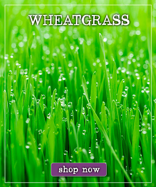 Home Delivery Fresh 2 You home delivery or farm pickup