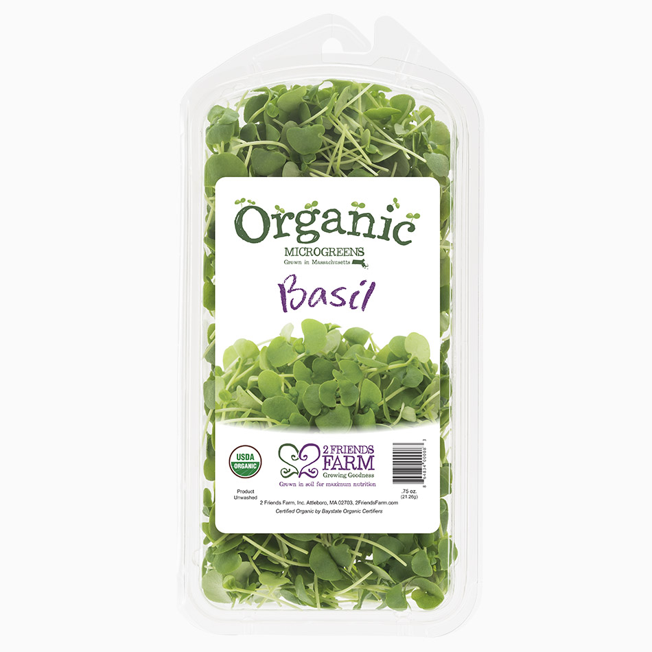 Organic Basil | Micro herbs fresh greens MA urban farm