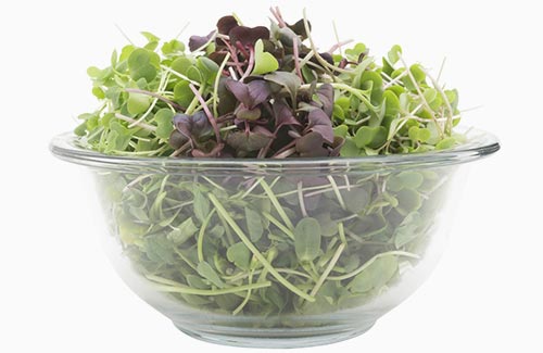 Original Super Salad | Organic mixed salad greens sunflower shoots arugula